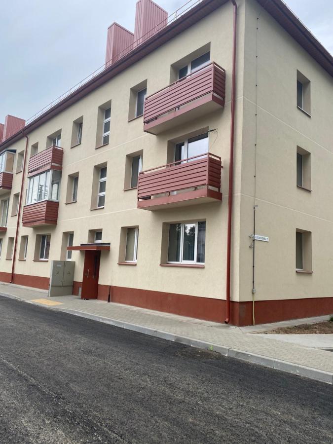 Studio Flat In Kėdainiai Eksteriør billede